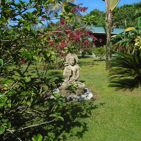 J And H Garden Cabinas Μπόκας ντελ Τόρο Εξωτερικό φωτογραφία