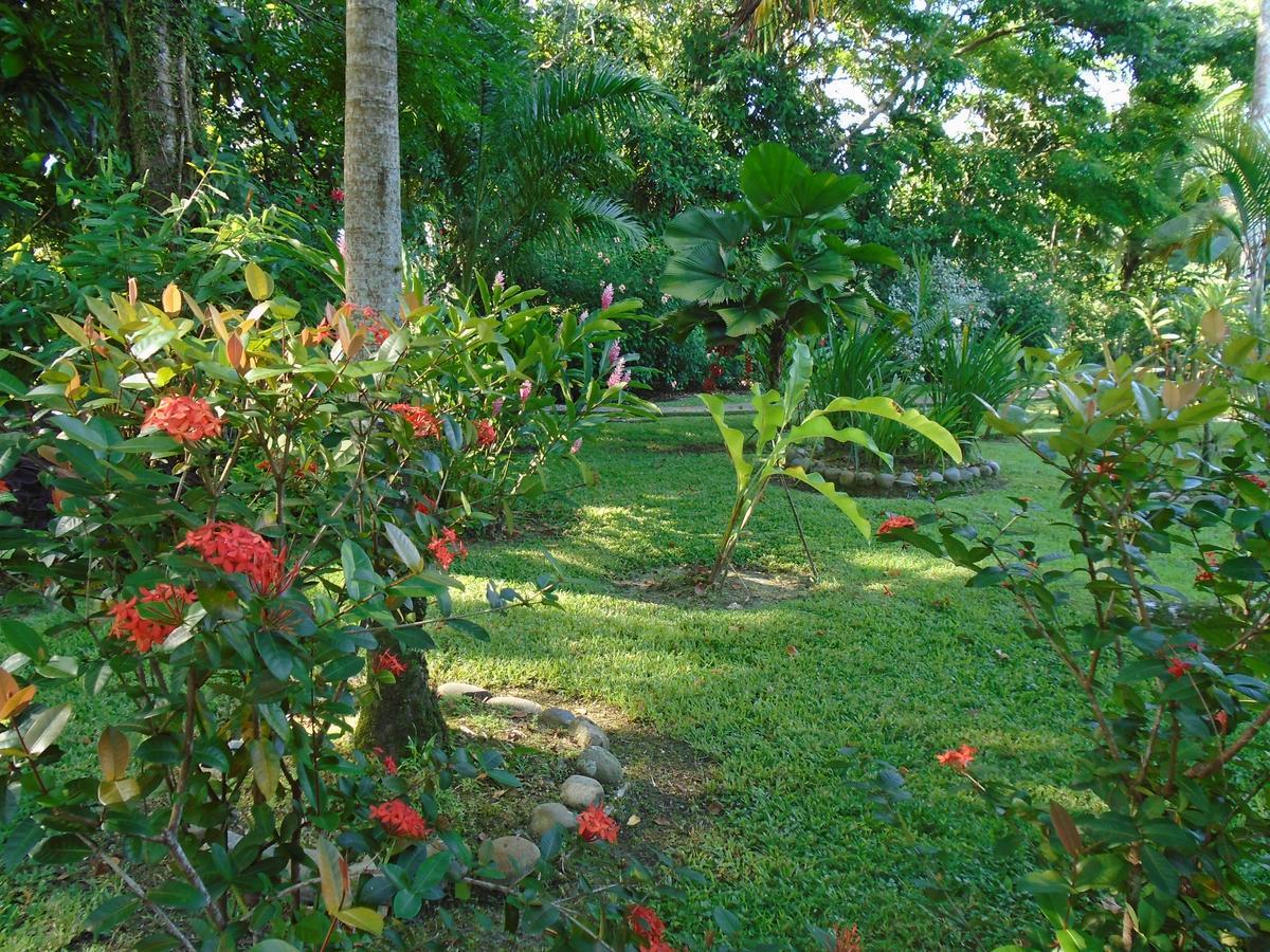 J And H Garden Cabinas Μπόκας ντελ Τόρο Εξωτερικό φωτογραφία